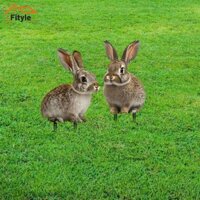 Fityle 2 Chiếc Sân Vườn Phục Sinh Cọc 2D Trang Trí Sân Vườn Động Vật Dấu Hiệu Cọc Cho Con Đường Lễ Hội Lối Đi Sân Ngoài Trời