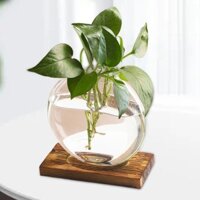 Fityle Bình hoa, Nồi, Chậu thủy tinh để bàn
