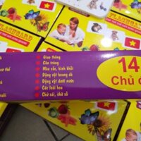 Flashcard 14 chủ đề