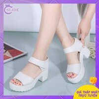 flat sandal women selipar sandal perempuan Giày Sandal Nữ Đế Xuồng Cao Phong Cách Hàn Quốc Mùa Hè Phiên Bản Mới