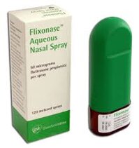Flixonase Nasal 0.05% Spray 60 liều xịt