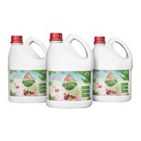 Floor Cleaner (Cinnamon) 1.7l