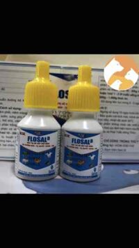 Flosal d [5 lọ x 10ml] Thuốc cho gà đá