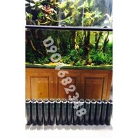 FOAM MIUS - bọt tạo hình khối bán cạn
