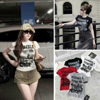 [Follow shop nhận mã 10k] Áo thun chữ gân QCCC QCL1 Meo Meo Shop AP0943 1325