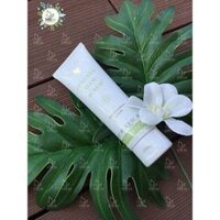 Forever Aloe Scrub 238 FLP| Kem Tẩy Tế Bào Chết