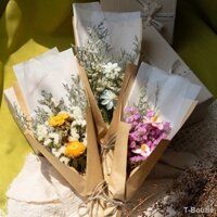 ☋☞✓Forget-me-not daisy Roland bó hoa khô trang trí nội thất trang trí nội thất hoa khô màu đỏ cho bạn bè và bạn gái quà