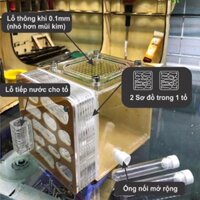 Formicarium / Tổ nuôi kiến / hộp nuôi kiến 10-10-10cm [ Mica/ Acylic cao cấp]