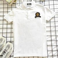 ⚡FREE SHIP⚡ Áo polo size dưới 80kg cotton mềm mại quanaochat74 - Gucci cánh thiên thần logo thêu ngực kim sa