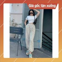 Free Ship - Bộ Áo Croptop Quần Jogger YN ,Áo Ngắn Cộc Tay In Chữ Kèm Quần Thun Dài X050