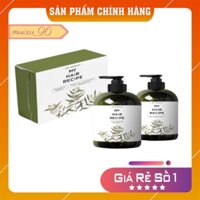 [FREE SHIP] Bộ dầu gội xả Olive Gorgeous giảm rụng, kích mọc tóc nhanh Múi Xù