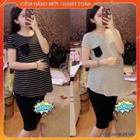 [FREE SHIP] Bộ đồ bầu mùa hè chất mát áo thun kẻ