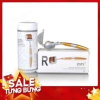 [FREE SHIP] CÂY LĂN KIM VÀNG ZGTS