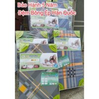 [FREE SHIP] ĐỆM BÔNG ÉP HÀN QUỐC HANVIKO ĐỘ DÀY 14cm và 18cm