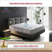 [FREE SHIP ĐIỀU KIỆN] Đệm bông ép Sông Hồng  Back Essential - Thiết kế gấp 2 - CHÍNH HÃNG