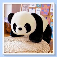 [Free ship] Gấu Bông Gấu Trúc Panda Nhồi Bông Nằm Quà Tặng Cực Đáng Yêu Dễ Thương