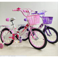 (FREE SHIP HÀ NỘI) Xe đạp trẻ em Xe đạp Jinbao giá rẻ 12-14-16 inch Nữ