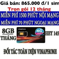 Free Ship - Sim vinaphone gói cước HEY 145 trọn gói 12 tháng - Mua lẻ giá sỉ