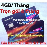 Free Ship - Sim vinaphone gói cước HEY trọn gói 6 tháng sử dụng - Mua lẻ giá sỉ