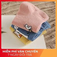 Free ship - Thời trang cao cấp  Set 5 đôi tất nữ TG05 chất liệu siêu bền, đẹp