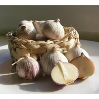 [FREE SHIP từ 99K] COMBO 2KG TỎI CÔ ĐƠN LÀM TỎI ĐEN LOẠI 1