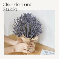🌸FREE SHIP🌸Bó hoa lavender KÈM VIDEO HÌNH THẬT