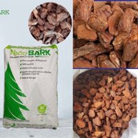 [FreeShip] 1Kg VỎ THÔNG CAO CẤP ECO BARK - Nhập Khẩu Bồ Đào Nha