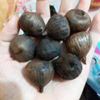 [FREESHIP 99K - NHẬP GROTHANG10 GIẢM 10%] Combo tỏi đen 1kg