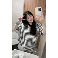 [FREESHIP] Áo Thun Ral Sọc Kẻ Thêu Ngựa Fulltag Cao Cấp