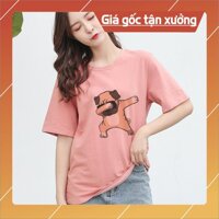 [FREESHIP] Áo Thun Tay Lỡ In Nhiệt Chó Pug form Unisex nam nữ phong cách Ulzzang - ATIN07