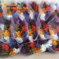 (FREESHIP) Bún gạo lứt ngũ sắc đặc sản Lai Châu , 100% organic 1kg/2 gói (Hàng chuẩn tự nhiên )