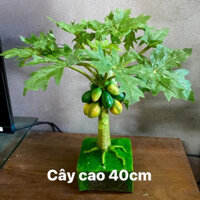 [FREESHIP] Cây đu đủ giả cây chuối giả mini trang trí decor nhà cửa làm quà tặng (Hà Nội ship trong ngày)