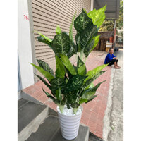 [FREESHIP] Cây giả cây vạn niên thanh giả cây giả decor trang trí nhà cửa sân vườn trang trí bền đẹp