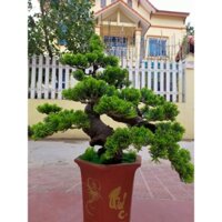 [FREESHIP] Cây giả decor cây Tùng bonsai giả trang trí nhà cửa sân vườn trang trí tiểu cảnh đẹp