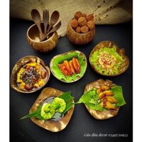 [FreeShip] Combo Đĩa Gáo Dừa/ Mẫu Mã Đa Dạng