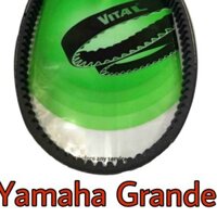 [FREESHIP] Dây Curoa Grande hiệu Vital (Thái Lan) - Dây curoa xe tay ga - PHỤ TÙNG PHÁT