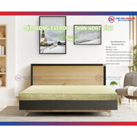 [FreeShip] ĐỆM BÔNG ÉP EVERON THAN HOẠT TÍNH - KHÁNG KHUẨN ÊM ÁI - HÀNG CHÍNH HÃNG