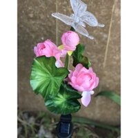 [FREESHIP] Đèn led năng lượng mặt trời gắn hoa sen giả trang trí chống nước