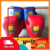FreeShip  Dụng Cụ Võ Thuật Chính Hãng Găng Boxing trẻ em Khuyến Mãi