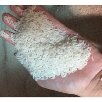 [FREESHIP] GẠO BẮC HƯƠNG QUÊ - VỤ MỚI 5KG