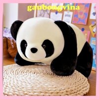 [Freeship] Gấu Bông Teddy Bear Gấu Trúc Panda, Gấu Trúc Nhồi Bông Nhập Khẩu Cao Cấp