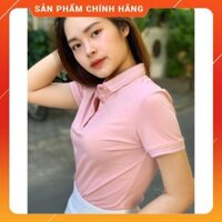 [FREESHIP-HÀNG CHÍNH HÃNG] Áo Phông Polo Pima Nữ APN3010