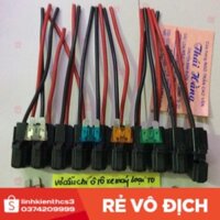 [Freeship] Hộp cầu chì cho xe an toàn giá 5 chiếc [GiáTốt]