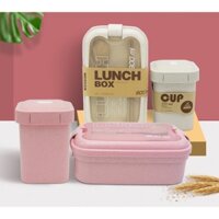 💖FREESHIP💖 Hộp cơm giữ nhiệt 1 ngăn lớn lunch box 800ml giá rẻ (Tặng kèm đũa thìa)