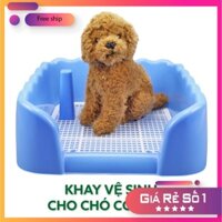 [FreeShip] Khay vệ sinh có thành cong + có cọc cho chó mèo. Tặng kèm miếng tả lót
