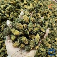 (FREESHIP) Khổ qua rừng (Mướp đắng rừng) sấy khô nguyên trái. Thảo dược thiên nhiên thu hái từ rừng tự nhiên ổn định đườ