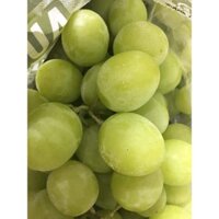 FREESHIP MAX -CÂY GIỐNG NHO SỮA ( CÂY GHÉP SIÊU SỚM) (được kiểm tra hàng có bảo hành )