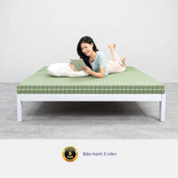 FREESHIP Nệm bông ép Goodnight Nova gấp gọn tiện dụng, nâng đỡ 5 tiếp điểm cơ thể - 160x200 - 5cm
