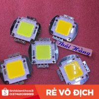 [Freeship] Nhân đèn led 100 w/36 v(1 chiếc) [GiáTốt]