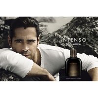 [FreeShip] Nước Hoa Dolce & Gabbana Intenso Pour Homme EDP 125ml .New _